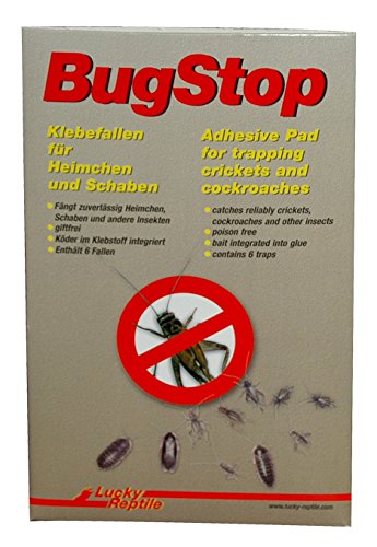 lucky-reptile-bug-stop-klebefallen-gegen-heimchen-und-schaben image 2