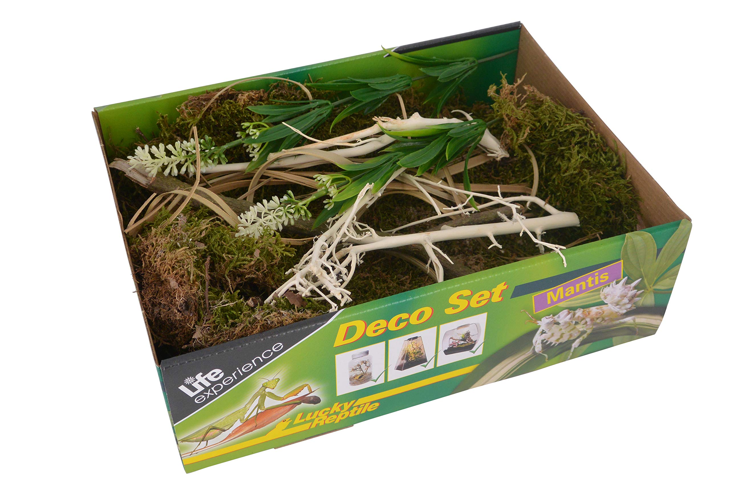 lucky-reptile-life-experience-deco-set-w-ste-terrarium-deko image 6