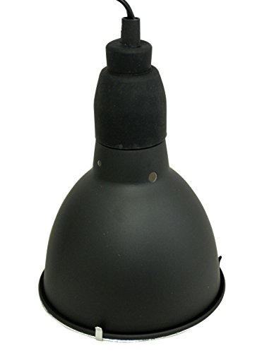 lucky-reptile-thermo-socket-plus-reflector-klein-e27-bis-300-w image 5
