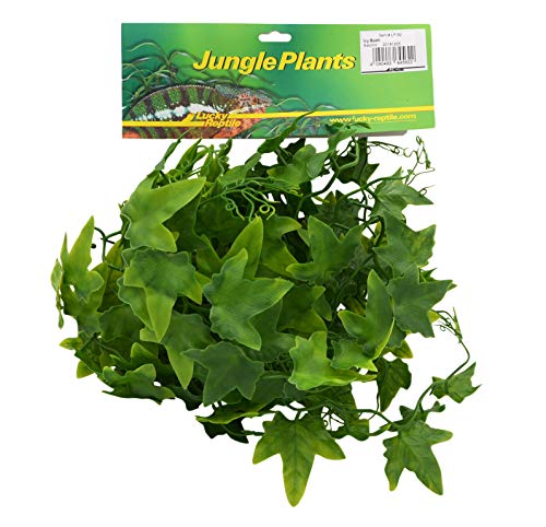 lucky-reptile-h-ngepflanze-efeu-kunstpflanze-60-cm-f-r-terrarien image 4