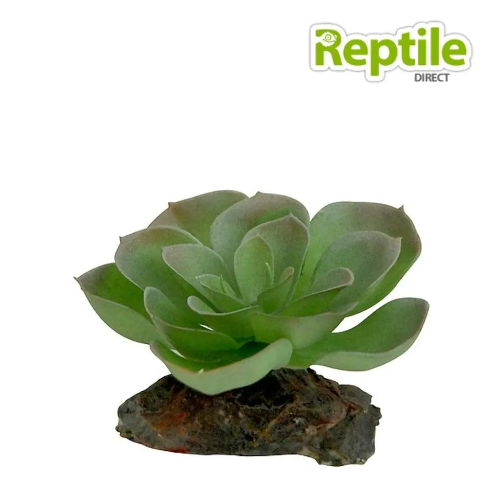 lucky-reptile-kalahari-busch-terrarien-deko-ca-40-cm image 1