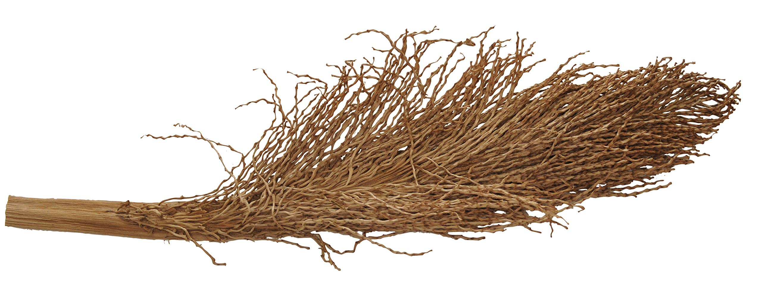 lucky-reptile-palmwedel-palmfackel-30-40-cm-terrarien-deko image 2