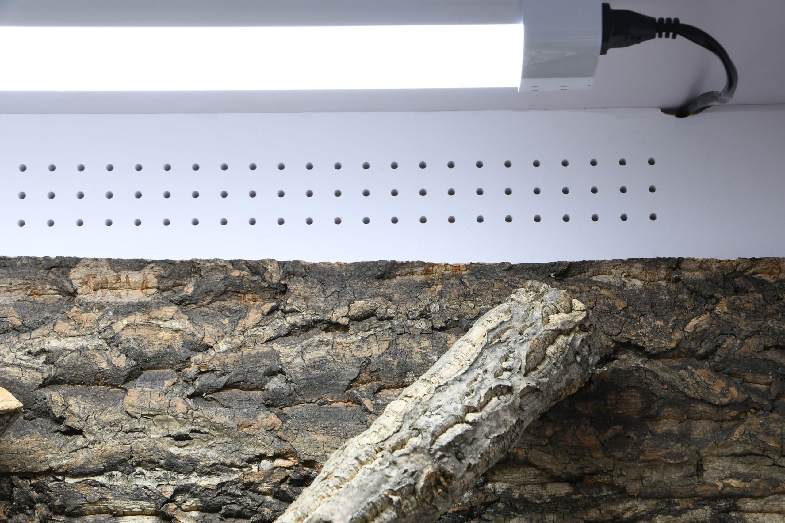 lucky-reptile-isotarrium-basic-kunststoff-terrarium-120-x-60-x-80-cm image 3