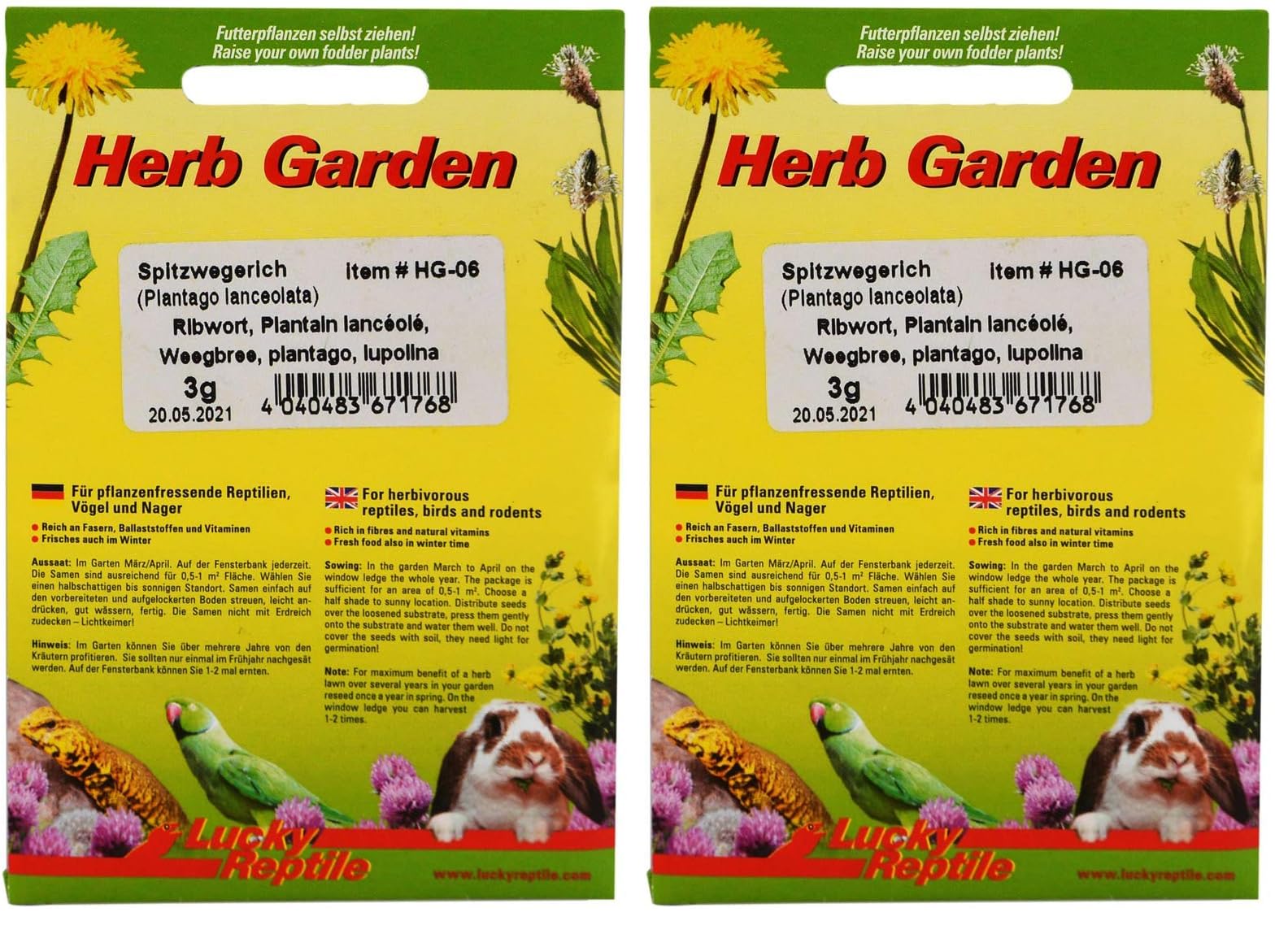 lucky-reptile-herb-garden-hg-05-ringelblume-3-g-futtersamen image 7