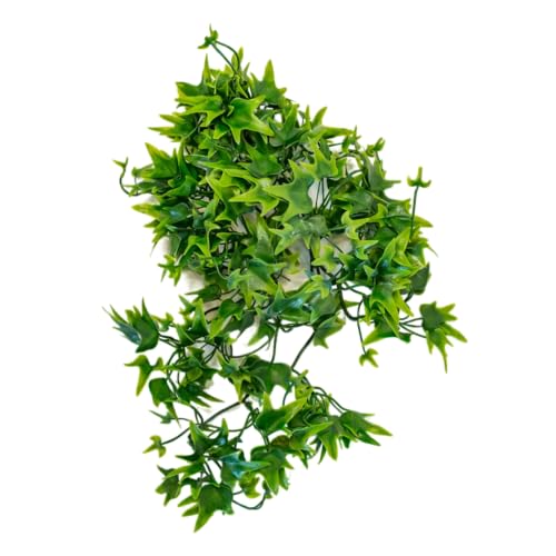 lucky-reptile-64567-efeu-terrarium-h-ngepflanze-150-g-extra-dicht image 3