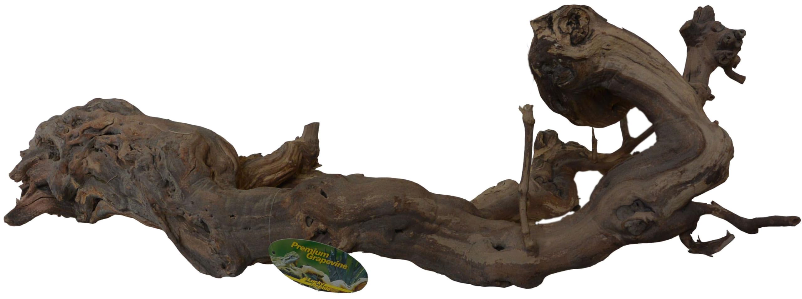 lucky-reptile-rebholz-terrarium-deko-holz-gr-e-mittel image 8
