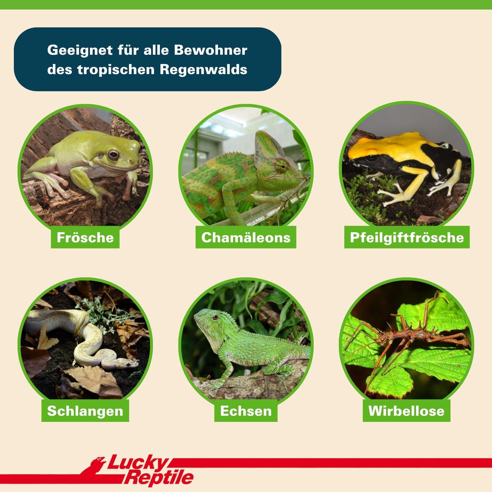 lucky-reptile-jungle-bedding-bodengrund-20-liter image 3