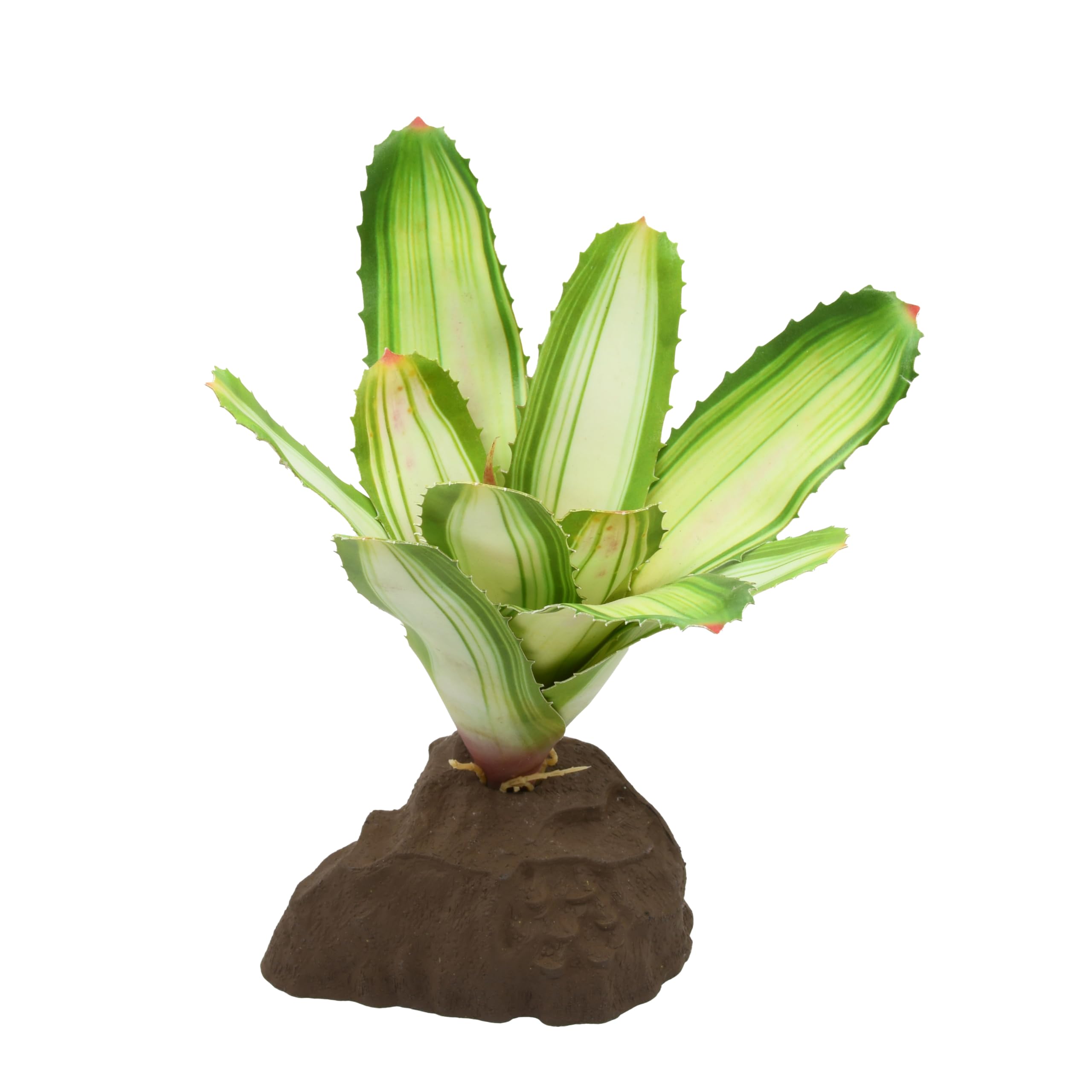 lucky-reptile-scape-it-easy-bromelie-neoregelia-dekopflanze-wei-ca-20-cm image 1