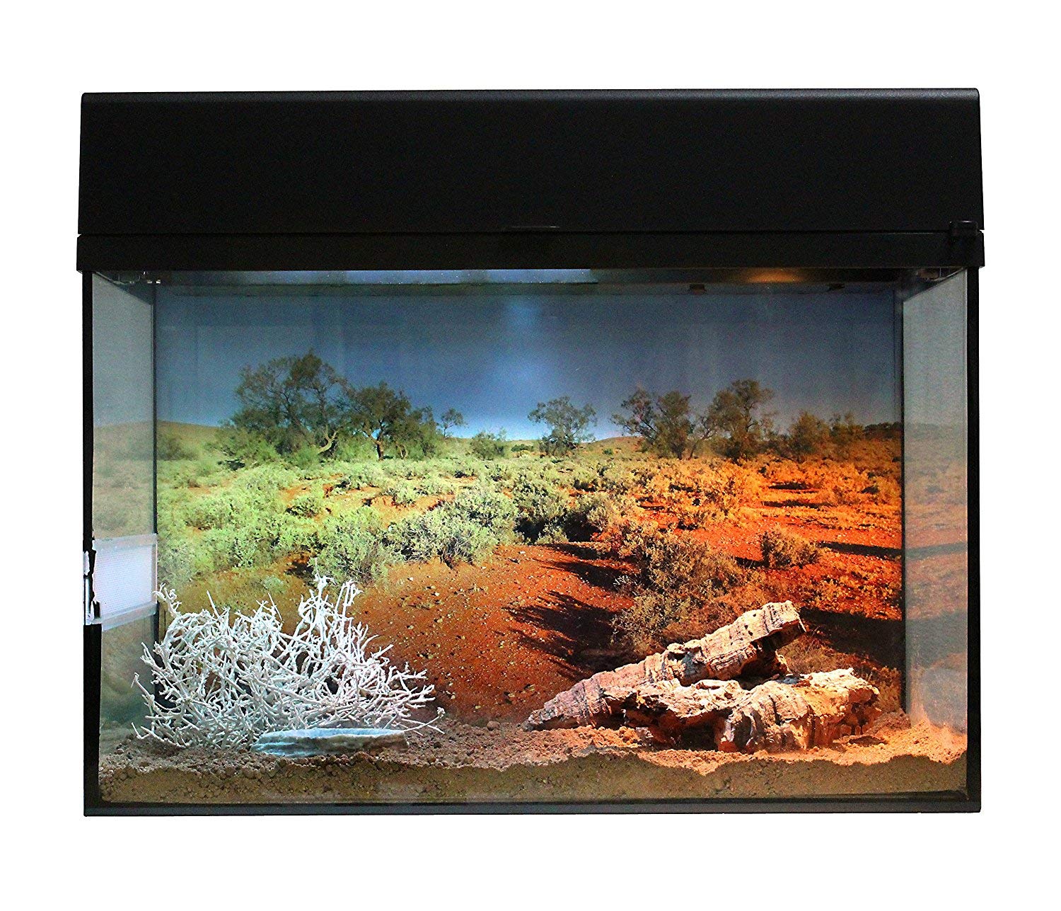 lucky-reptile-starter-kit-w-stengecko-wei-50-x-28-x-40-cm image 8
