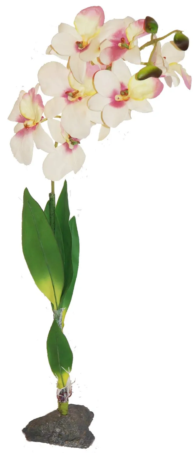 lucky-reptile-orchidee-wei-kunstpflanze-ca-40-cm image 1