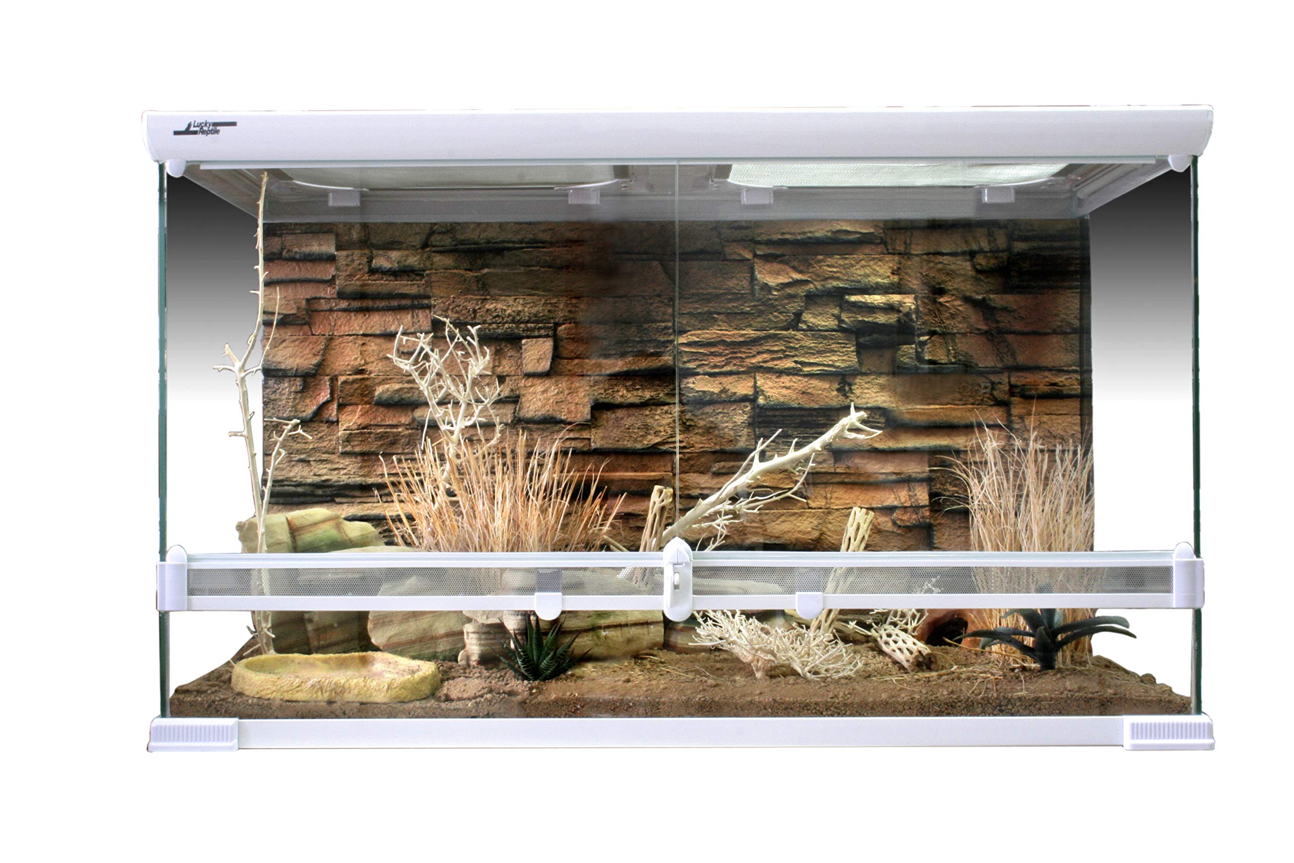 lucky-reptile-grasb-schel-terrarienpflanze-25-40-cm-f-r-w-stenterrarien image 5