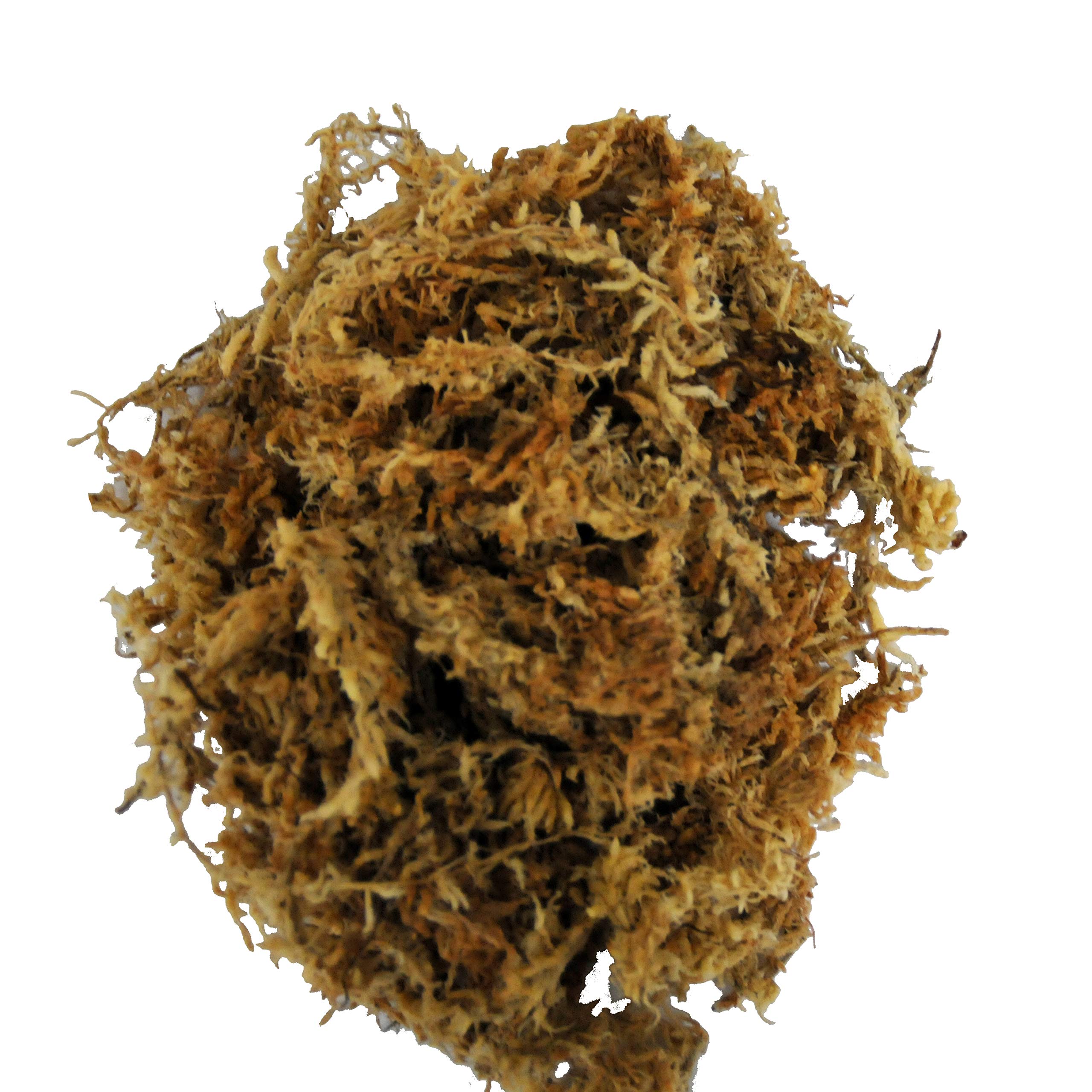 lucky-reptile-sphagnum-moos-ziegel-terrarium-substrat-25-liter image 2