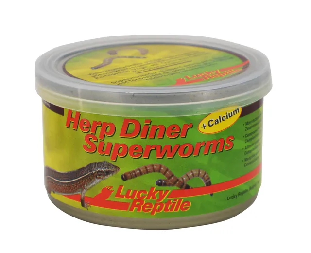 lucky-reptile-herp-diner-superworms-dosenfutter-f-r-reptilien image 1