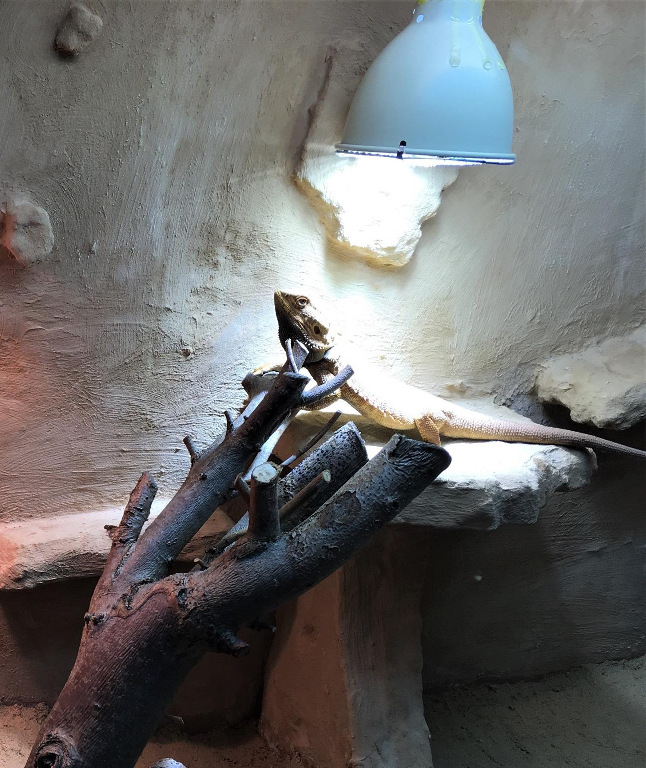 Licht wie in der Wüste