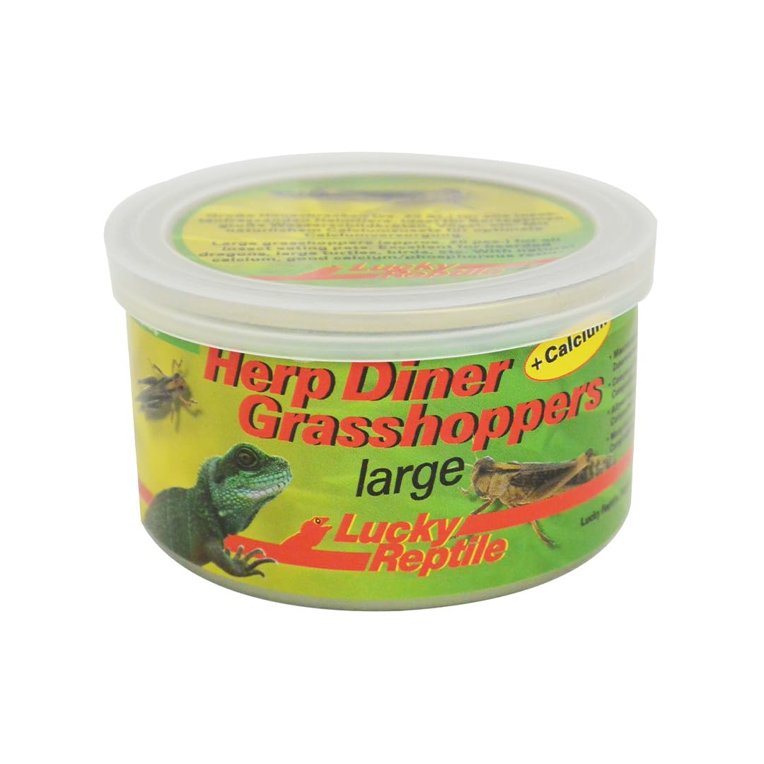 lucky-reptile-herp-diner-superworms-dosenfutter-f-r-reptilien image 5
